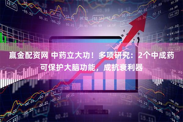赢金配资网 中药立大功！多项研究：2个中成药可保护大脑功能，成抗衰利器