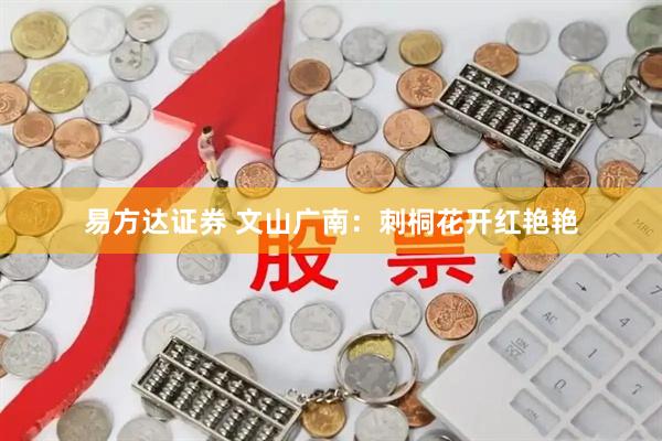 易方达证券 文山广南：刺桐花开红艳艳