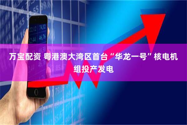 万宝配资 粤港澳大湾区首台“华龙一号”核电机组投产发电